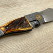 Cargar imagen en el visor de la galería, Navaja Gitano Gen 2, edición única, customizada a mano Por Gudy Van Poppel, Stag/Magnacut/ Titanio
