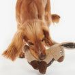 Cargar imagen en el visor de la galería, Conejo de Peluche para perro (BARBOUR)