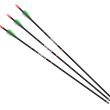 Cargar imagen en el visor de la galería, Flechas Ballesta BARNETT Vortex Carbon 400 (paquete de 3)