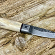 Cargar imagen en el visor de la galería, Cuchillo Nil Fonsere hunter integral con mango de whitetail
