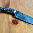 Cargar imagen en el visor de la galería, Cuchillo Trapper Nil Fonsere Sambar perlado
