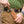 Cargar imagen en el visor de la galería, CUCHILLO DE CAMPING DE ACERO HK4 D2 CSH (BPS Knives)
