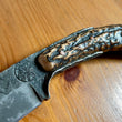 Cargar imagen en el visor de la galería, Cuchillo Trapper Nil Fonsere Sambar perlado
