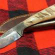 Cargar imagen en el visor de la galería, Cuchillo San Mai As de Picas de Nil Fonsere en carnero
