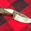 Cargar imagen en el visor de la galería, Cuchillo mini Hunter Nil Fonsere, Damascus San Mai Sambar
