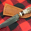 Cargar imagen en el visor de la galería, Cuchillo Mestizo Nil Fonsere, sambar y cuero guarda G

