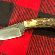 Cargar imagen en el visor de la galería, Cuchillo Mini Trapper Nil Fonsere, Sambar premium y guarda G
