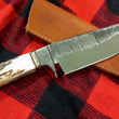 Cargar imagen en el visor de la galería, Cuchillo Big Buddy Nil Fonsere integral Sambar
