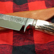 Cargar imagen en el visor de la galería, Cuchillo Big Buddy Nil Fonsere integral Sambar
