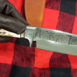 Cargar imagen en el visor de la galería, Cuchillo Big Buddy Nil Fonsere integral Sambar
