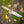 Cargar imagen en el visor de la galería, Cuchillo de Camping ADVENTURER CSHF (BPS Knives)
