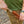 Cargar imagen en el visor de la galería, Cuchillo de Camping ADVENTURER CSHF (BPS Knives)
