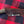 Cargar imagen en el visor de la galería, Cuchillo Trapper de Nil Fonsere, Viga encajada en Sambar

