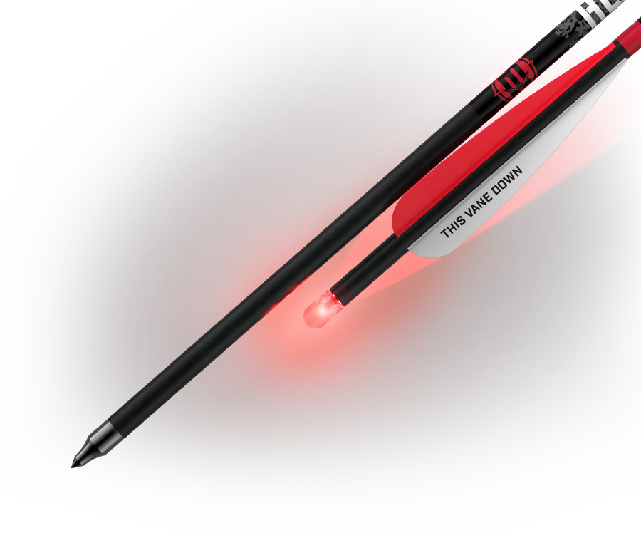 Flechas Ballesta BARNETT estroboscópicas iluminadas Headhunter™ de 20" (paquete de 3)