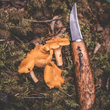 Cargar imagen en el visor de la galería, Cuchillo H. Roselli para setas.
