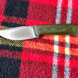 Cargar imagen en el visor de la galería, Cuchillo multitarea forjado Beetle de Alejandro Medrano, micarta verde
