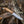 Cargar imagen en el visor de la galería, Cuchillo de Bushcraft HK5 CSH (BPS Knives)
