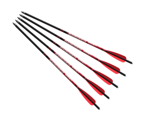 Flechas Ballesta BARNETT Headhunter™ de 20" (paquete de 5)