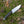 Cargar imagen en el visor de la galería, Cuchillo SAVAGE CSH (BPS Knives)
