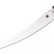 Cargar imagen en el visor de la galería, 🔪Spyderco Shelter Cove FB52GP cuchillo fijo, diseño de Phil Wilson
