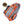 Cargar imagen en el visor de la galería, Mochila Pioneer de OneBone con acabado Hillary + Manta - Safari Master
