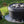 Cargar imagen en el visor de la galería, Marmita Bushcraft holandesa, Petromax FT3 - Safari Master Andorra
