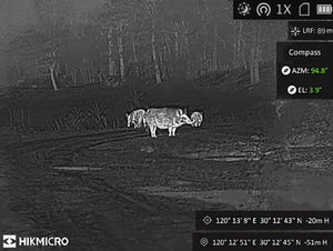 Binoculares Hikmicro con cámara térmica RAPTOR RQ050-LN. PRECIO A CONSULTAR