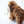 Cargar imagen en el visor de la galería, Peluche Mammoth Living Nature.
