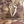 Cargar imagen en el visor de la galería, Gorra Kryptek camuflage highlander.
