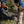 Cargar imagen en el visor de la galería, Sierra de bolsillo Plegable (Nordic FOLD)
